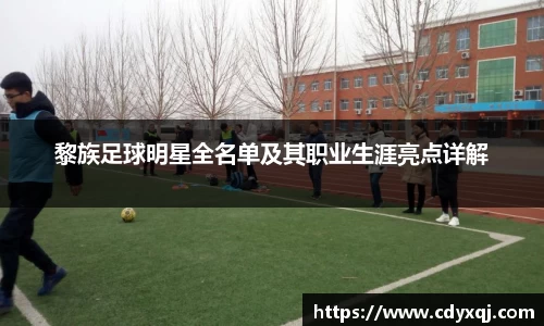 黎族足球明星全名单及其职业生涯亮点详解