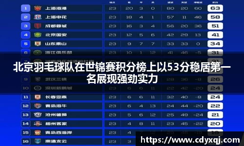 北京羽毛球队在世锦赛积分榜上以53分稳居第一名展现强劲实力