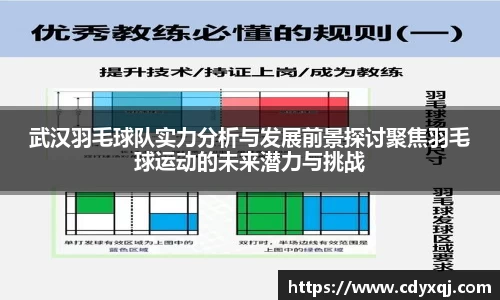 武汉羽毛球队实力分析与发展前景探讨聚焦羽毛球运动的未来潜力与挑战