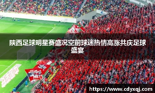 陕西足球明星赛盛况空前球迷热情高涨共庆足球盛宴