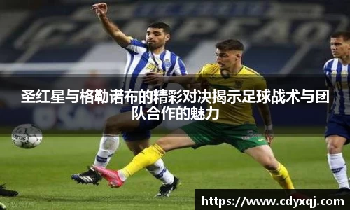 雷竞技raybet官方平台