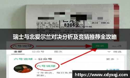 瑞士与北爱尔兰对决分析及竞猜推荐全攻略